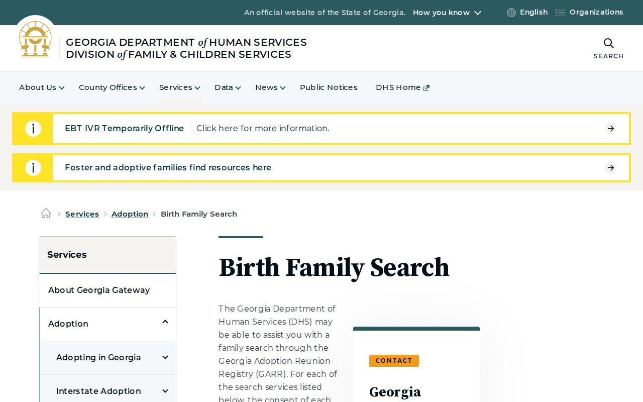 Georgia birth family search program information for eligible adults